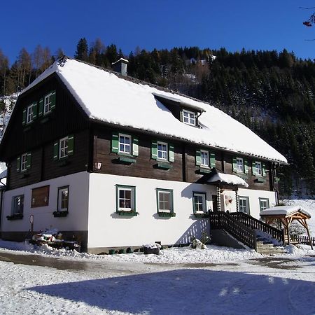 Der Perweinhof Daire Donnersbachwald Dış mekan fotoğraf