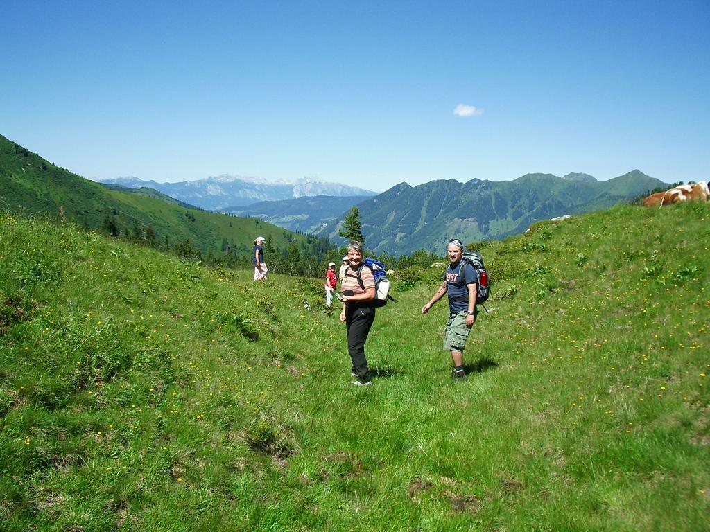 Der Perweinhof Daire Donnersbachwald Dış mekan fotoğraf