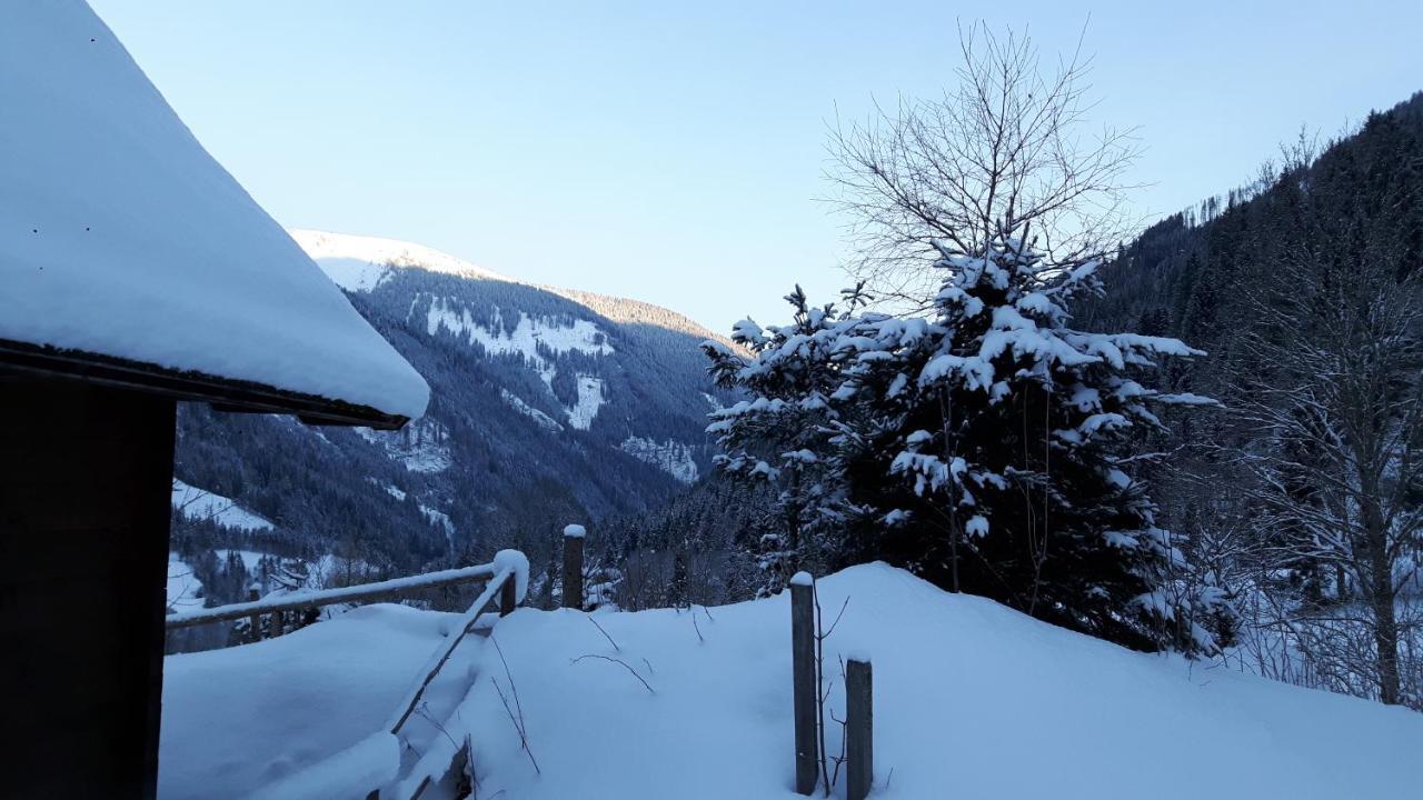 Der Perweinhof Daire Donnersbachwald Dış mekan fotoğraf